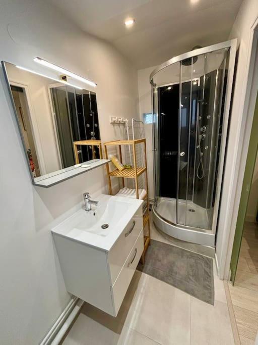 L'Escobar Troyen Appartement Troyes Buitenkant foto